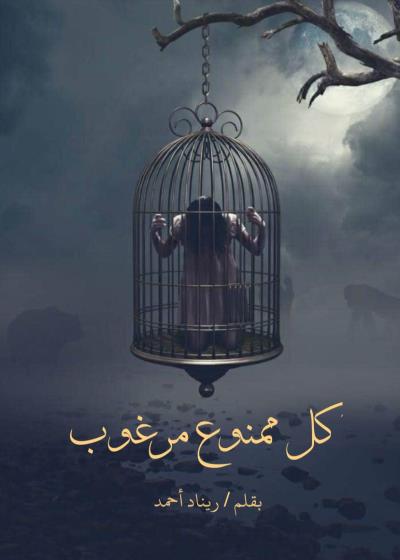 كل ممنوع مرغوب  Story