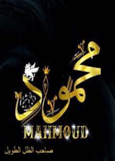 كتاب محمود صاحب الظل الطويل