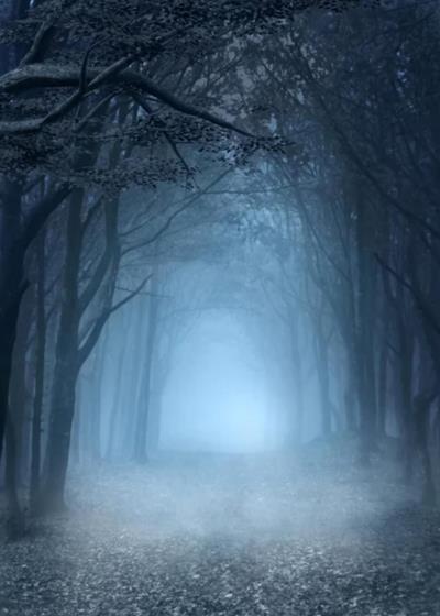 " بوابة الظل " Story